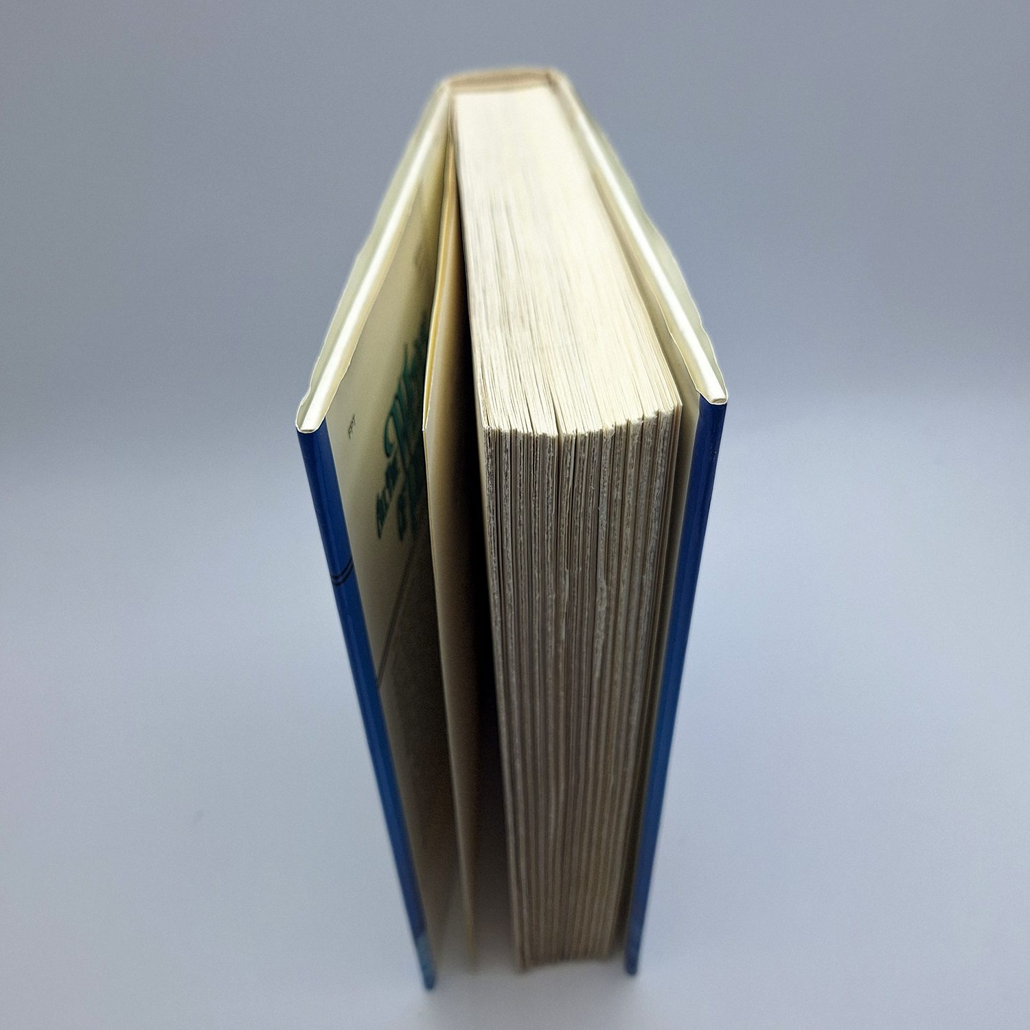All the Weyrs of Pern – Anne McCaffrey – Vintage 1991 First Edition Hardcover - Image 7