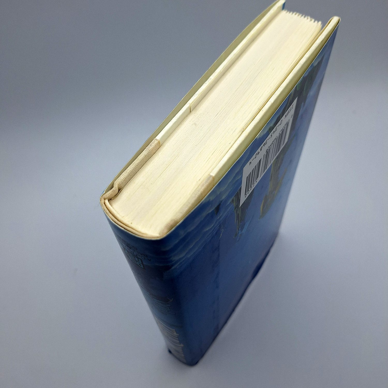 All the Weyrs of Pern – Anne McCaffrey – Vintage 1991 First Edition Hardcover - Image 12